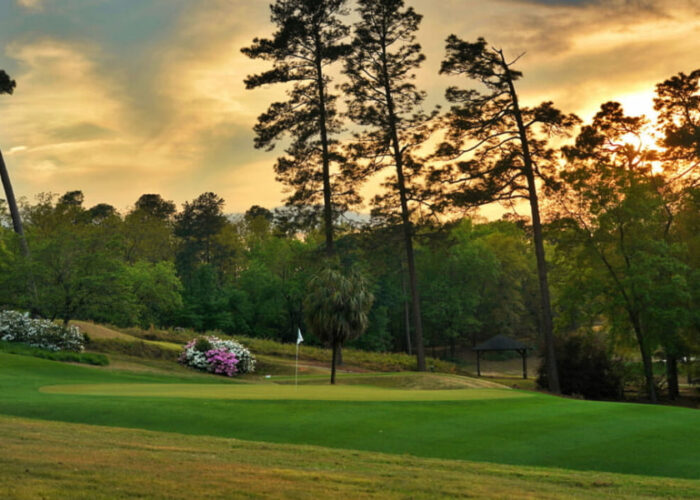 palmetto GC 5
