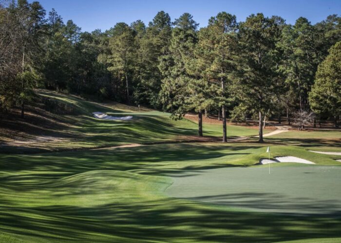 palmetto GC 7