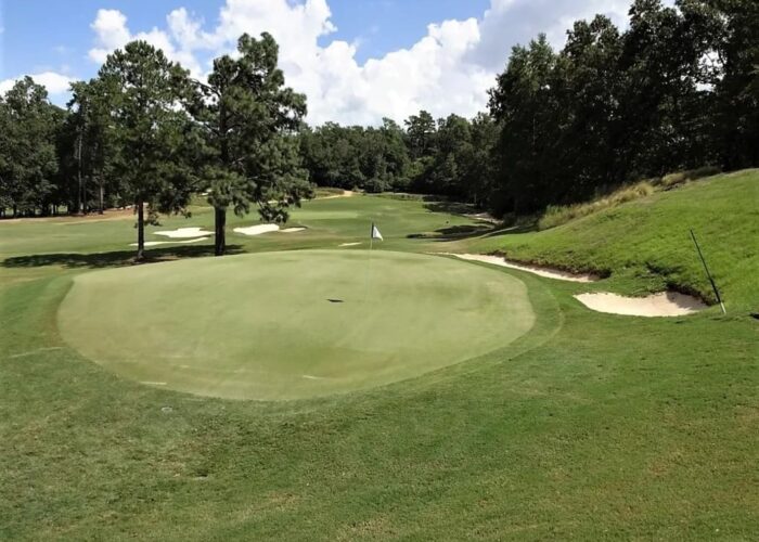 palmetto GC